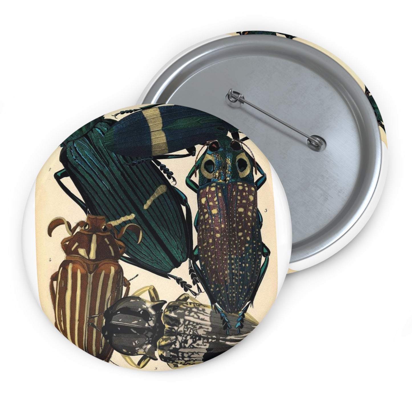 Insectes - EA Séguy - 1929 - page 14 Pin Buttons with Crisp Design
