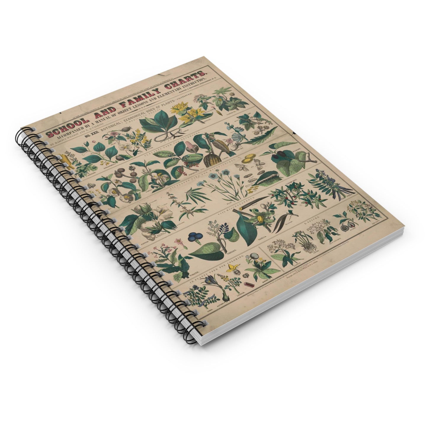 School and family charts, accompanied by a manual of object lessons and elementary instruction, by Marcius Willson and N.A. Calkins. No. XXII. Botanical: economical uses of plants-continued Spiral Bound Ruled Notebook with Printed Cover