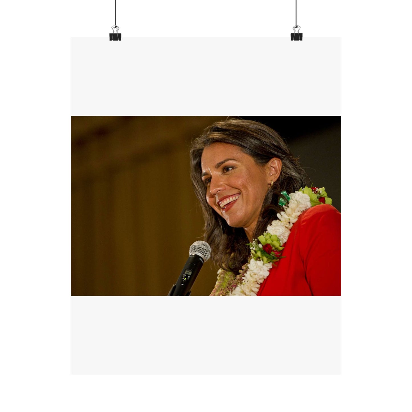 United States Representative for Hawaii's second High Quality Matte Wall Art Poster for Home, Office, Classroom