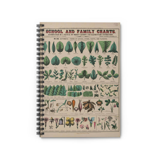 School and family charts, accompanied by a manual of object lessons and elementary instruction, by Marcius Willson and N.A. Calkins. No. XIX. Botanical: forms of leaves, stems, roots, and flowers Spiral Bound Ruled Notebook with Printed Cover