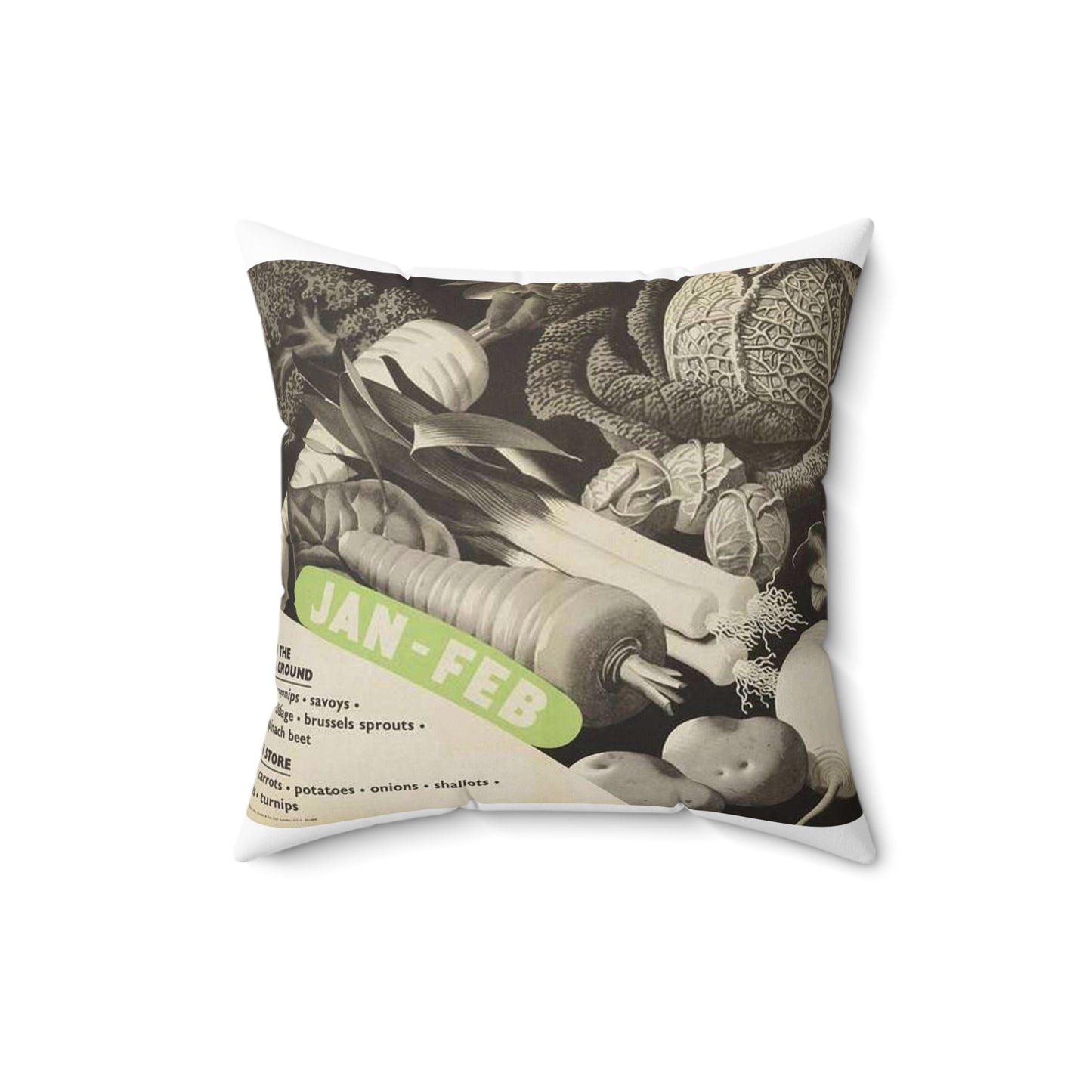 (vegetables to Grow) Jan-feb Art.IWMPST20656 Decorative Accent Square Pillow