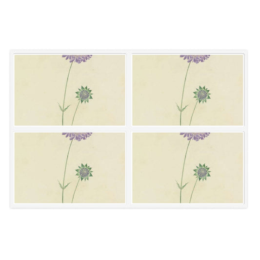 Scabiosa by Lydia Penrose Laminated UV Protective Vinyl Stickers