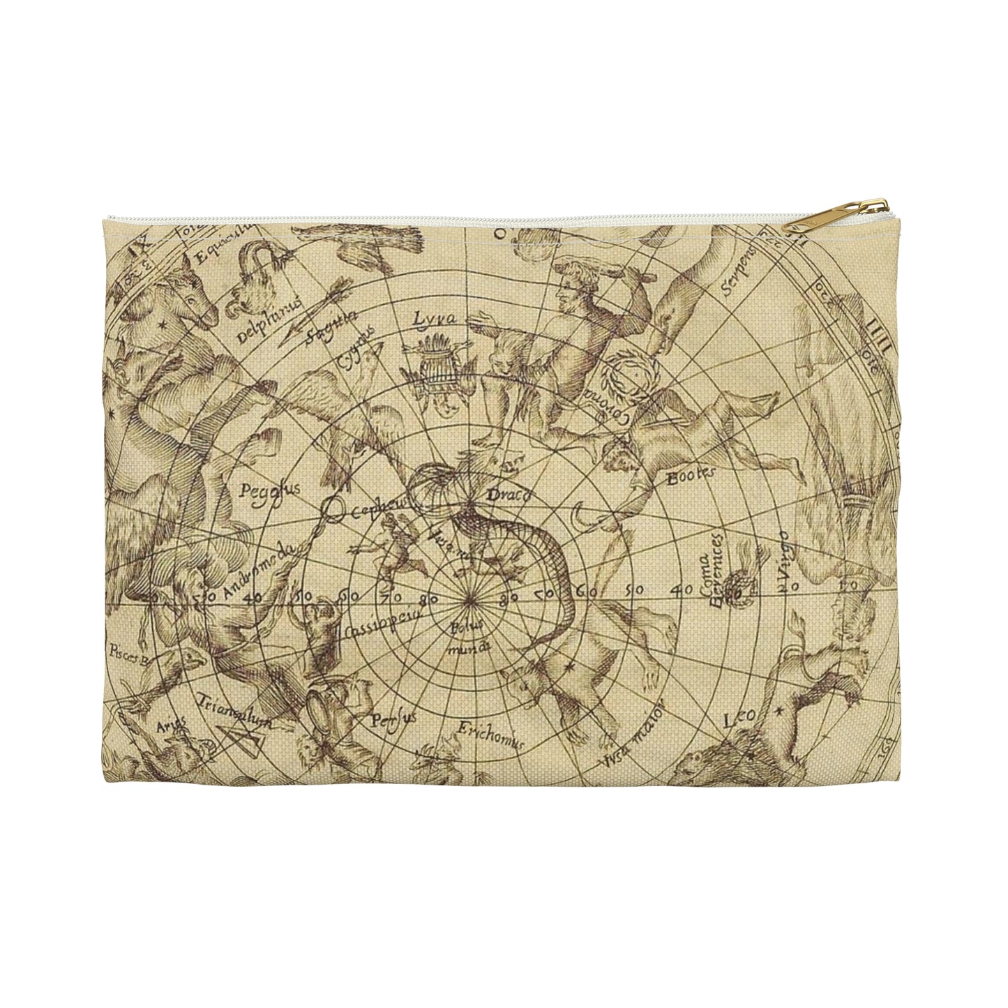 sciathericon stellarum - Drawing. Public domain image. Large Organizer Pouch with Black Zipper