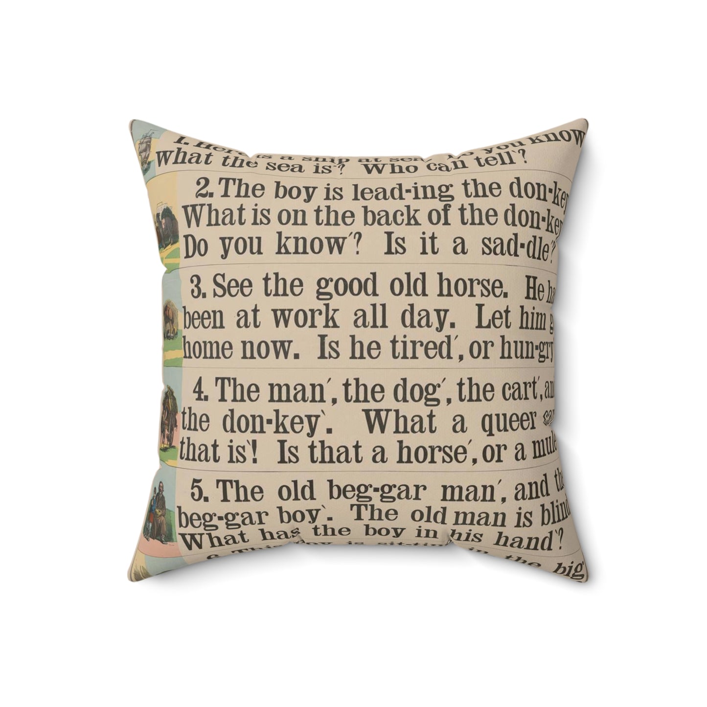 School and family charts, accompanied by a manual of object lessons and elementary instruction, by Marcius Willson and N.A. Calkins. No. V. Reading: fourth lessons Decorative Accent Square Pillow