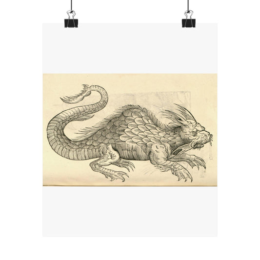 Orobonis Piscis effigies - Public domain portrait drawing  High Quality Matte Wall Art Poster for Home, Office, Classroom