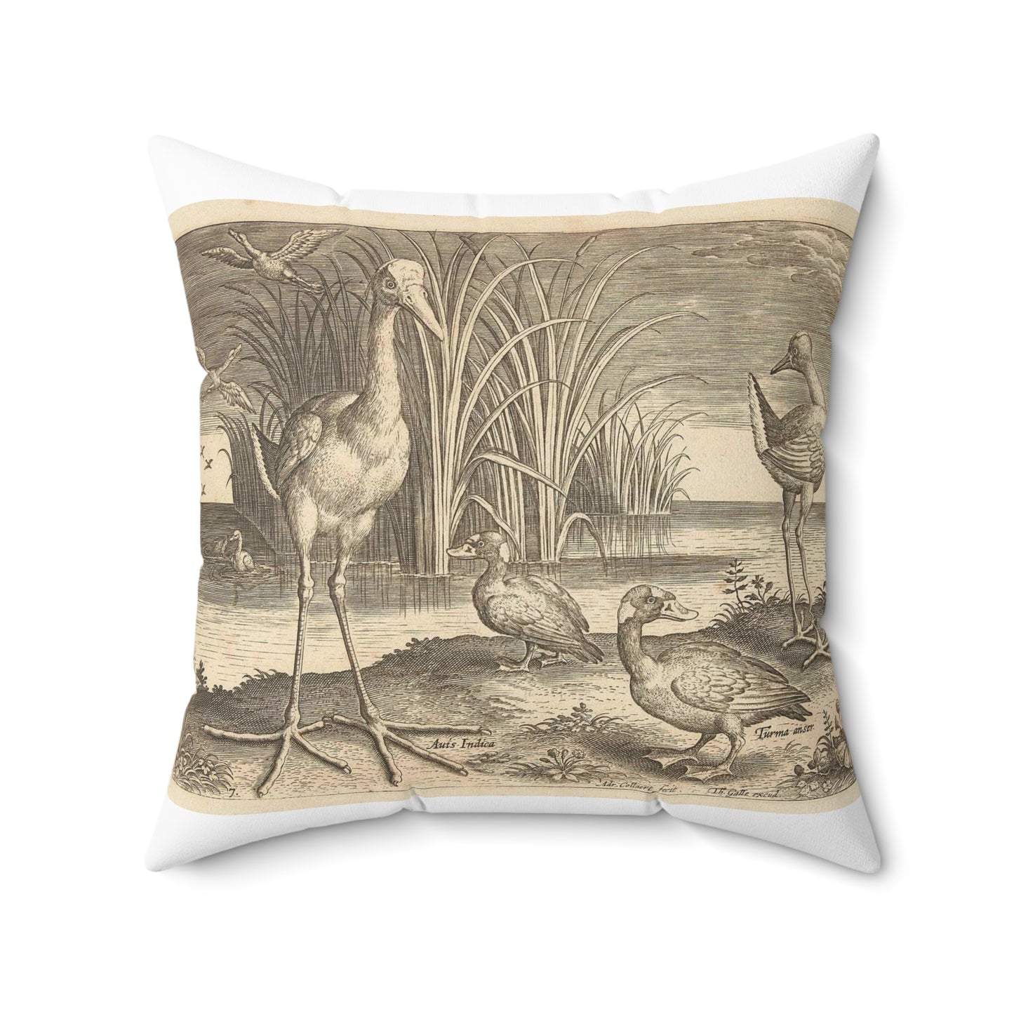 Adriaen Collaert - Enkele watervogels aan een oever Decorative Accent Square Pillow