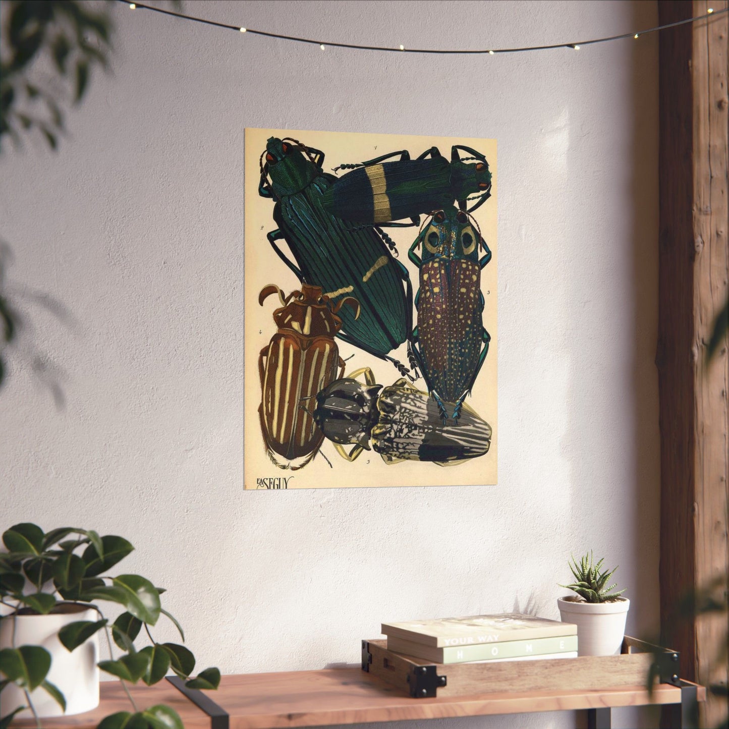 Insectes - EA Séguy - 1929 - page 14 High Quality Matte Wall Art Poster for Home, Office, Classroom