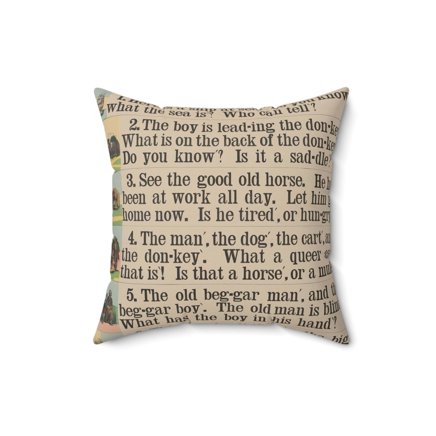 School and family charts, accompanied by a manual of object lessons and elementary instruction, by Marcius Willson and N.A. Calkins. No. V. Reading: fourth lessons Decorative Accent Square Pillow