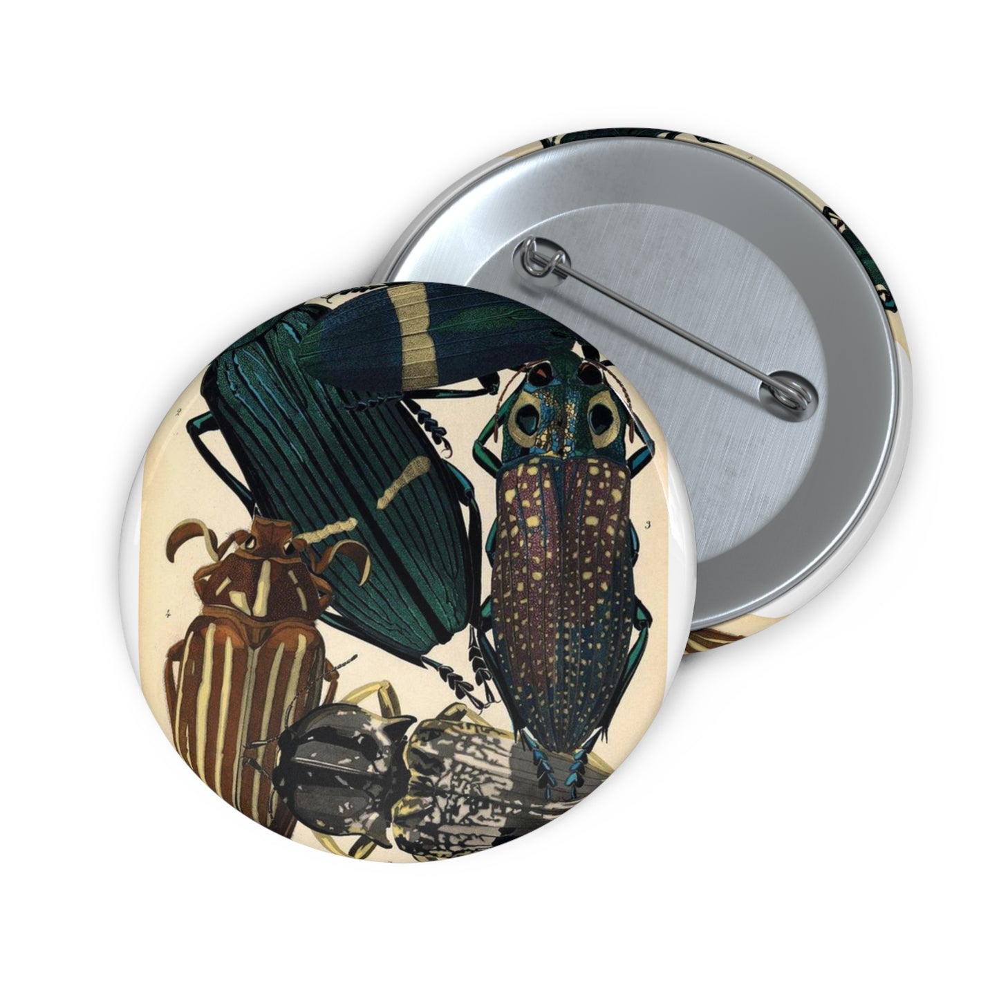 Insectes - EA Séguy - 1929 - page 14 Pin Buttons with Crisp Design