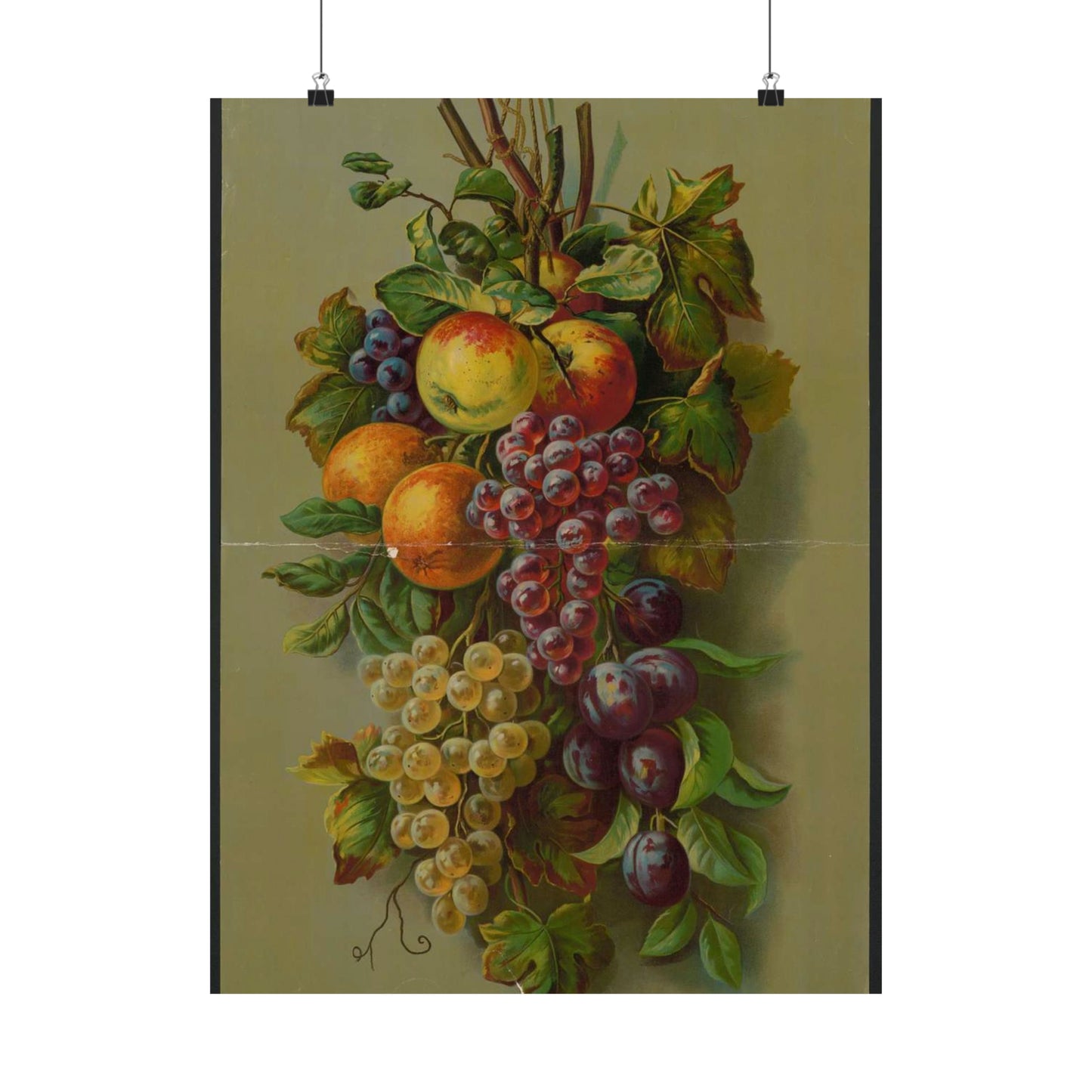 Apples, Plums & grapes, no. 8266 High Quality Matte Wall Art Poster for Home, Office, Classroom