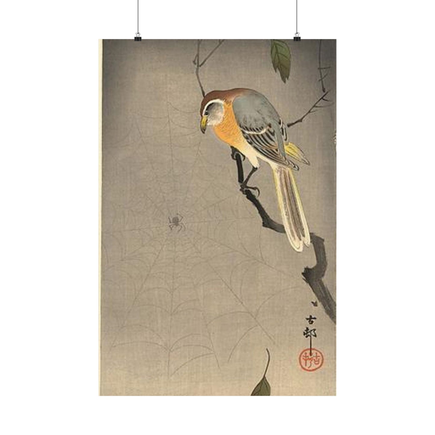 Koson - the-spiderweb, Ohara Koson High Quality Matte Wall Art Poster for Home, Office, Classroom