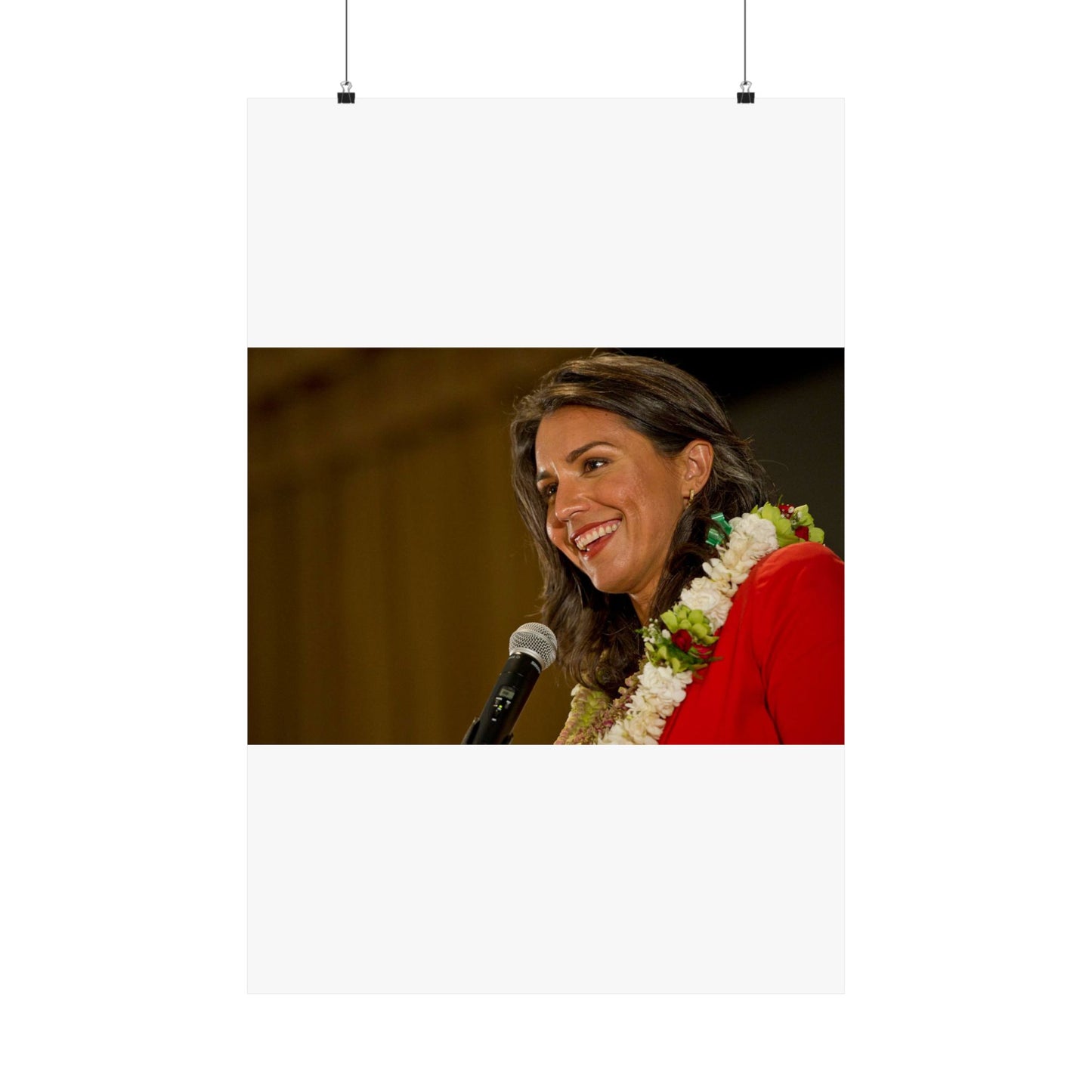 United States Representative for Hawaii's second High Quality Matte Wall Art Poster for Home, Office, Classroom