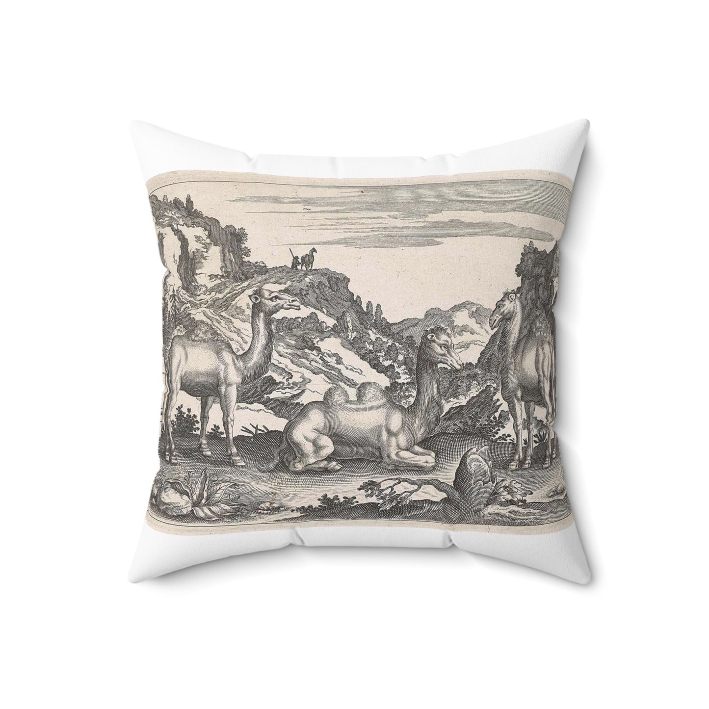 Adriaen Collaert - Dromedarissen en een kameel Decorative Accent Square Pillow