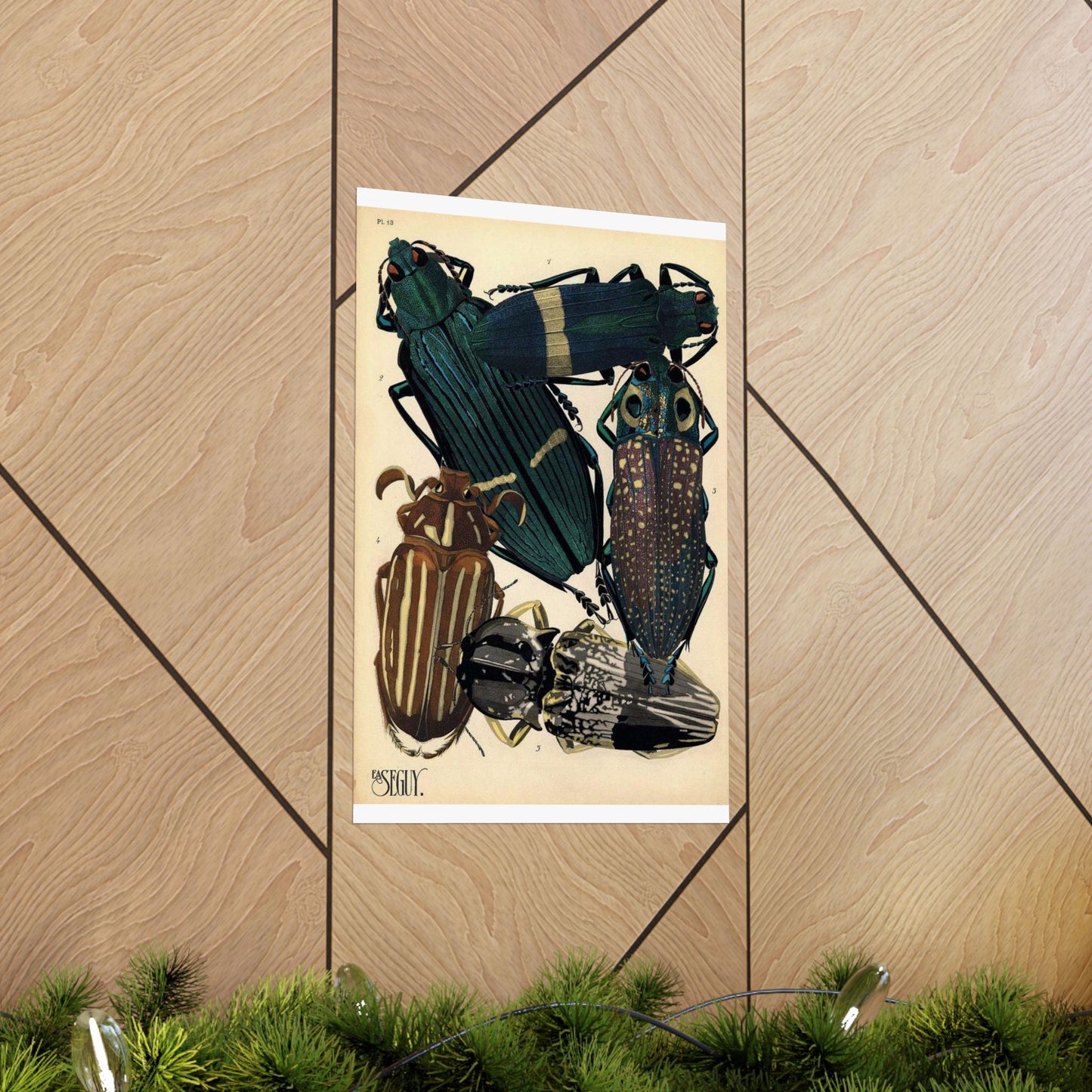 Insectes - EA Séguy - 1929 - page 14 High Quality Matte Wall Art Poster for Home, Office, Classroom