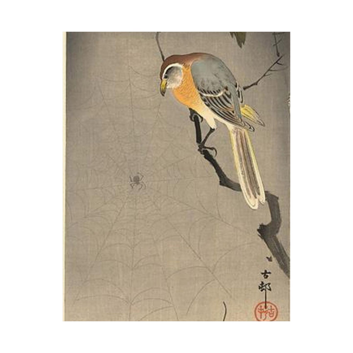 Koson - the-spiderweb, Ohara Koson High Quality Matte Wall Art Poster for Home, Office, Classroom