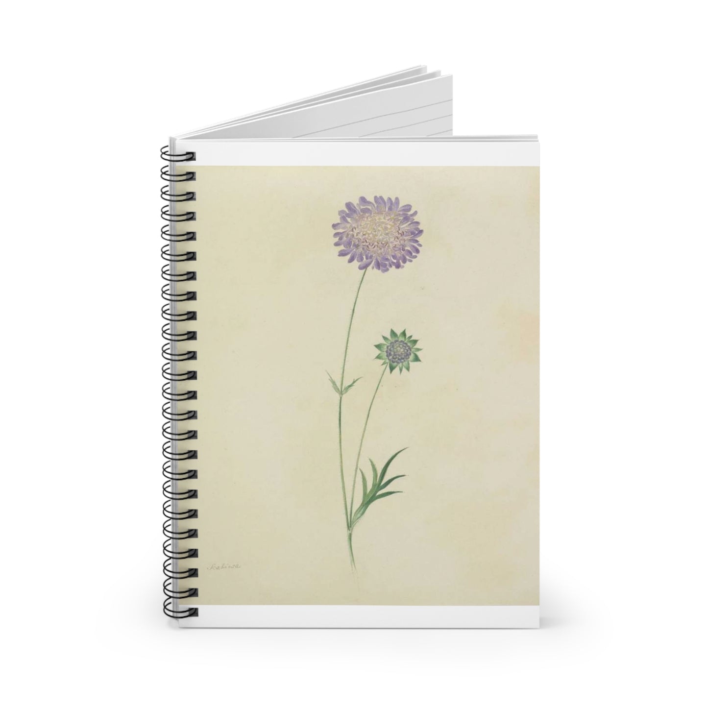 Scabiosa by Lydia Penrose Spiral Bound Ruled Notebook with Printed Cover