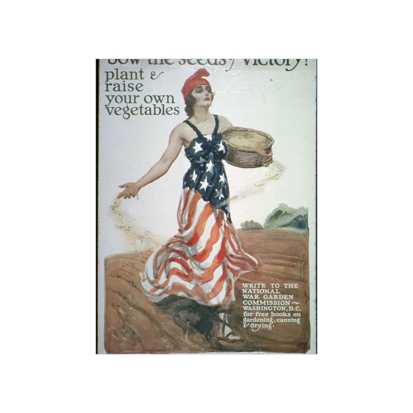 "Sow the Seeds of Victory^ Plant and raise your own vegetables. Write to the National War Garden Commission- Washington, - NARA - 512498 High Quality Matte Wall Art Poster for Home, Office, Classroom