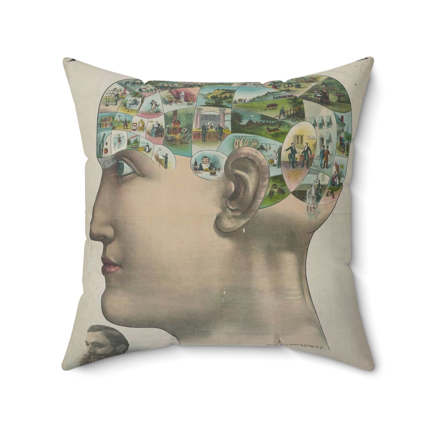 Popular lectures on human nature Decorative Accent Square Pillow