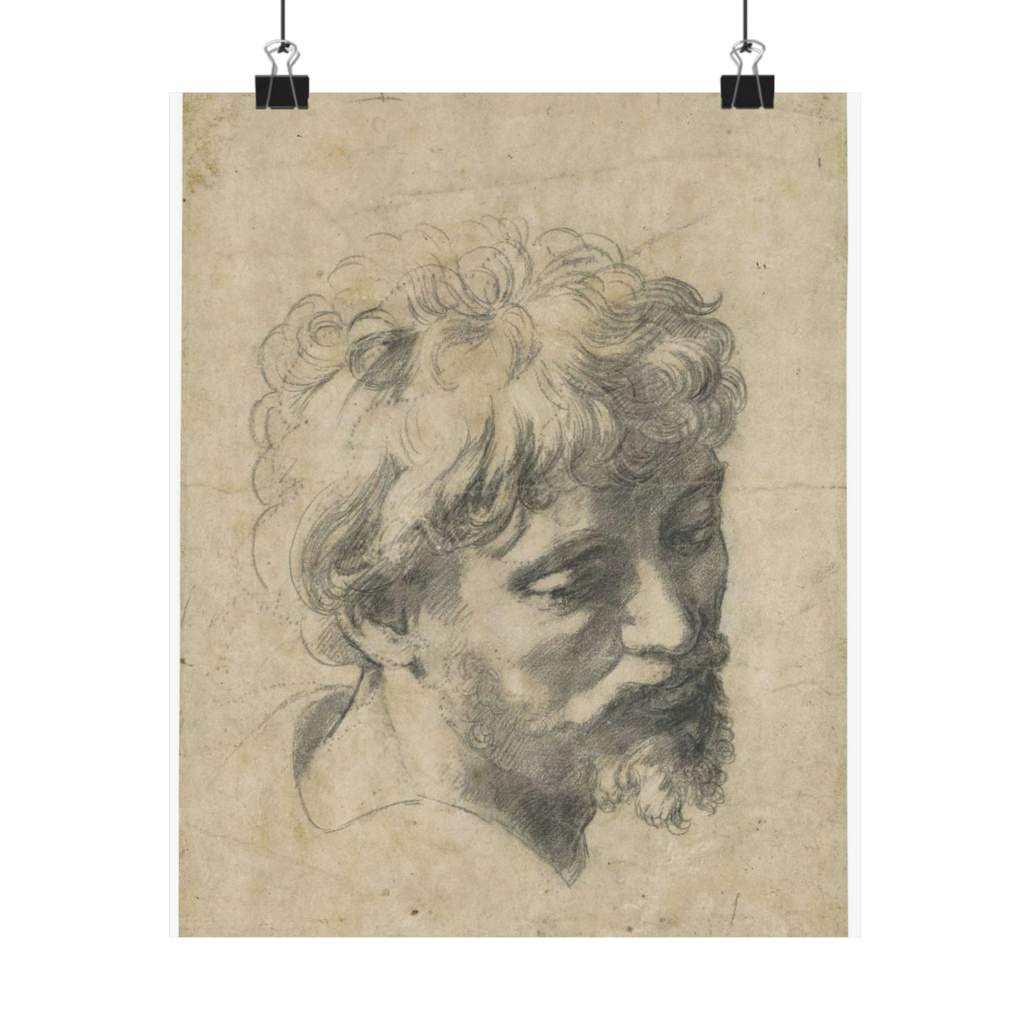 Raffaello Sanzio - Head of a Young Apostle, lot.52 High Quality Matte Wall Art Poster for Home, Office, Classroom