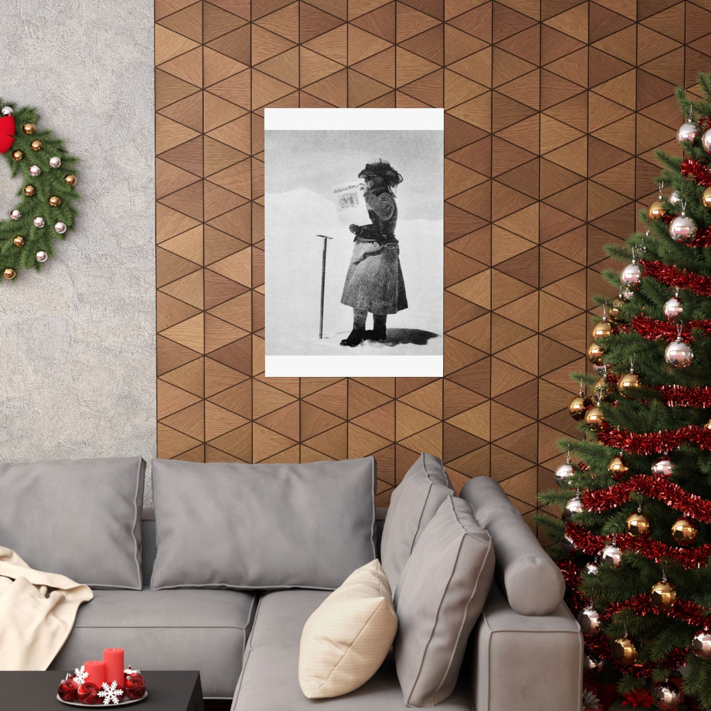 FannyBullockWorkmanVotesWomen - A woman standing in the snow holding a sign High Quality Matte Wall Art Poster for Home, Office, Classroom