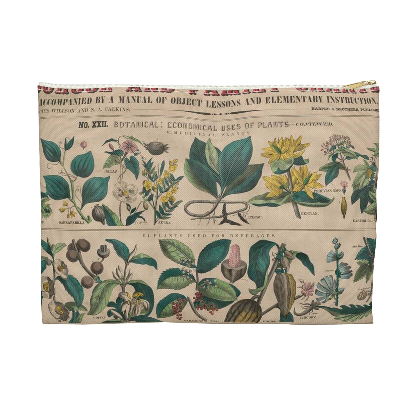 School and family charts, accompanied by a manual of object lessons and elementary instruction, by Marcius Willson and N.A. Calkins. No. XXII. Botanical: economical uses of plants-continued Large Organizer Pouch with Black Zipper