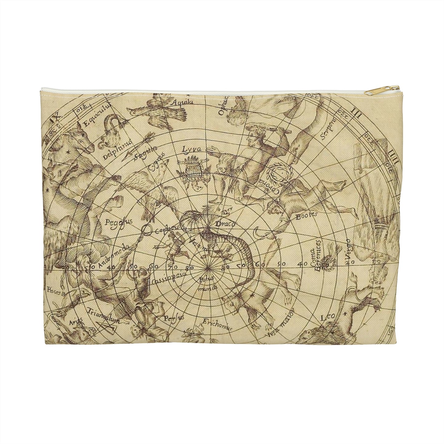 sciathericon stellarum - Drawing. Public domain image. Large Organizer Pouch with Black Zipper