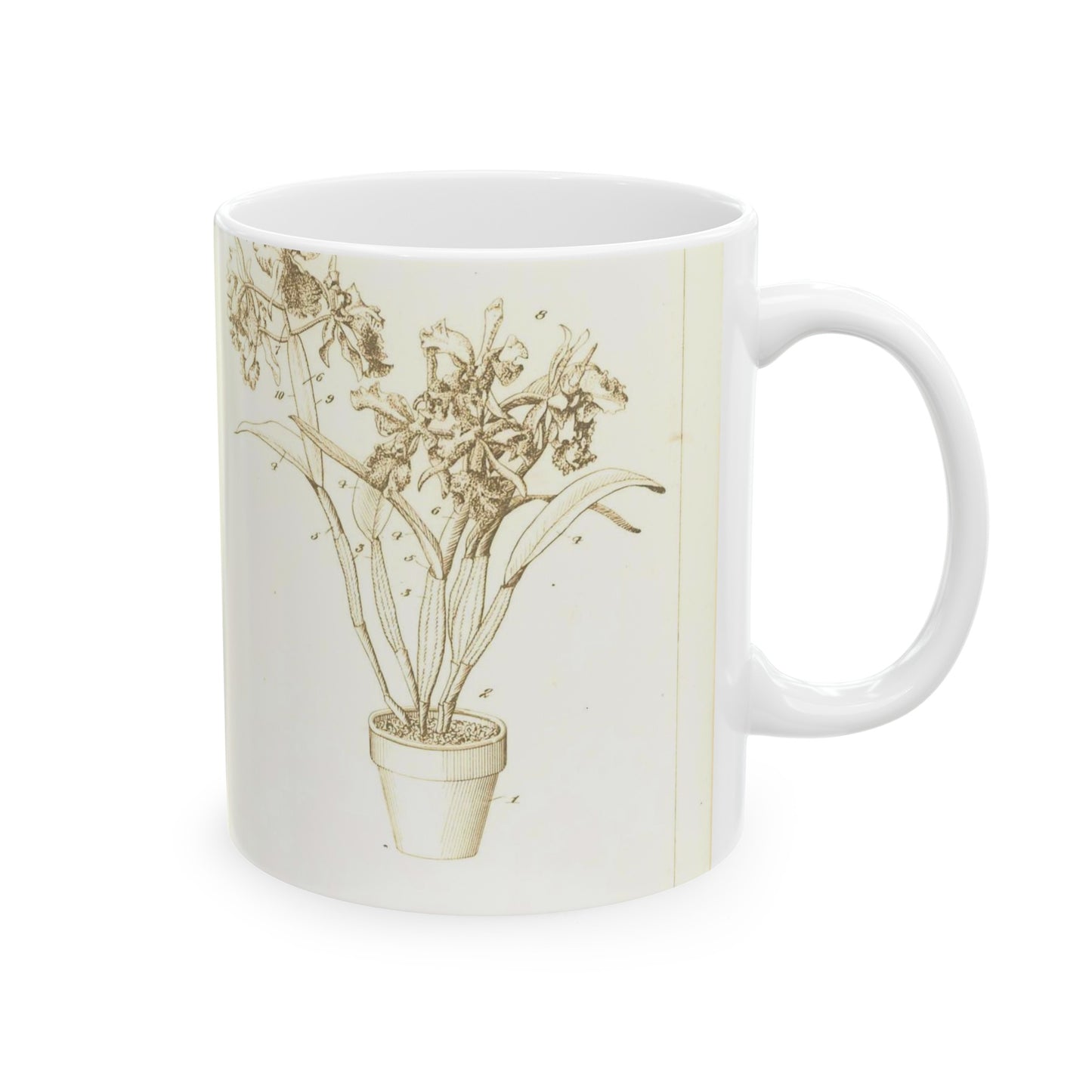 Patent Case File No. 1,904,788, Display of Cut Flowers, Inventor- Jesse H. Holmes. - DPLA - f3d0d85a6e6b3c501e6aa63084a03aaf (page 10) Beautiful Novelty Ceramic Coffee Mug 11oz