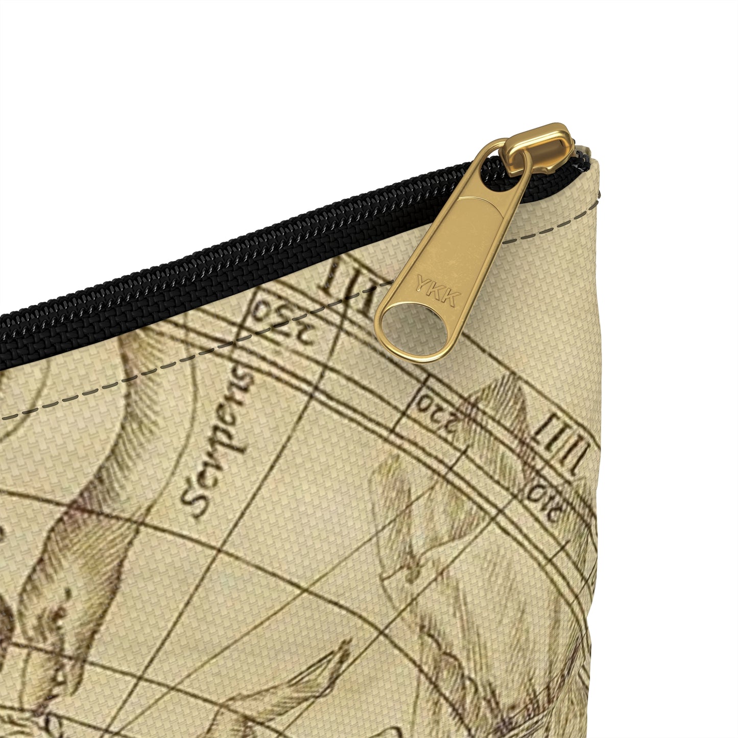 sciathericon stellarum - Drawing. Public domain image. Large Organizer Pouch with Black Zipper