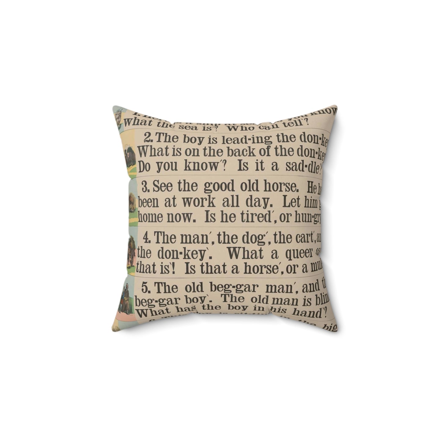 School and family charts, accompanied by a manual of object lessons and elementary instruction, by Marcius Willson and N.A. Calkins. No. V. Reading: fourth lessons Decorative Accent Square Pillow