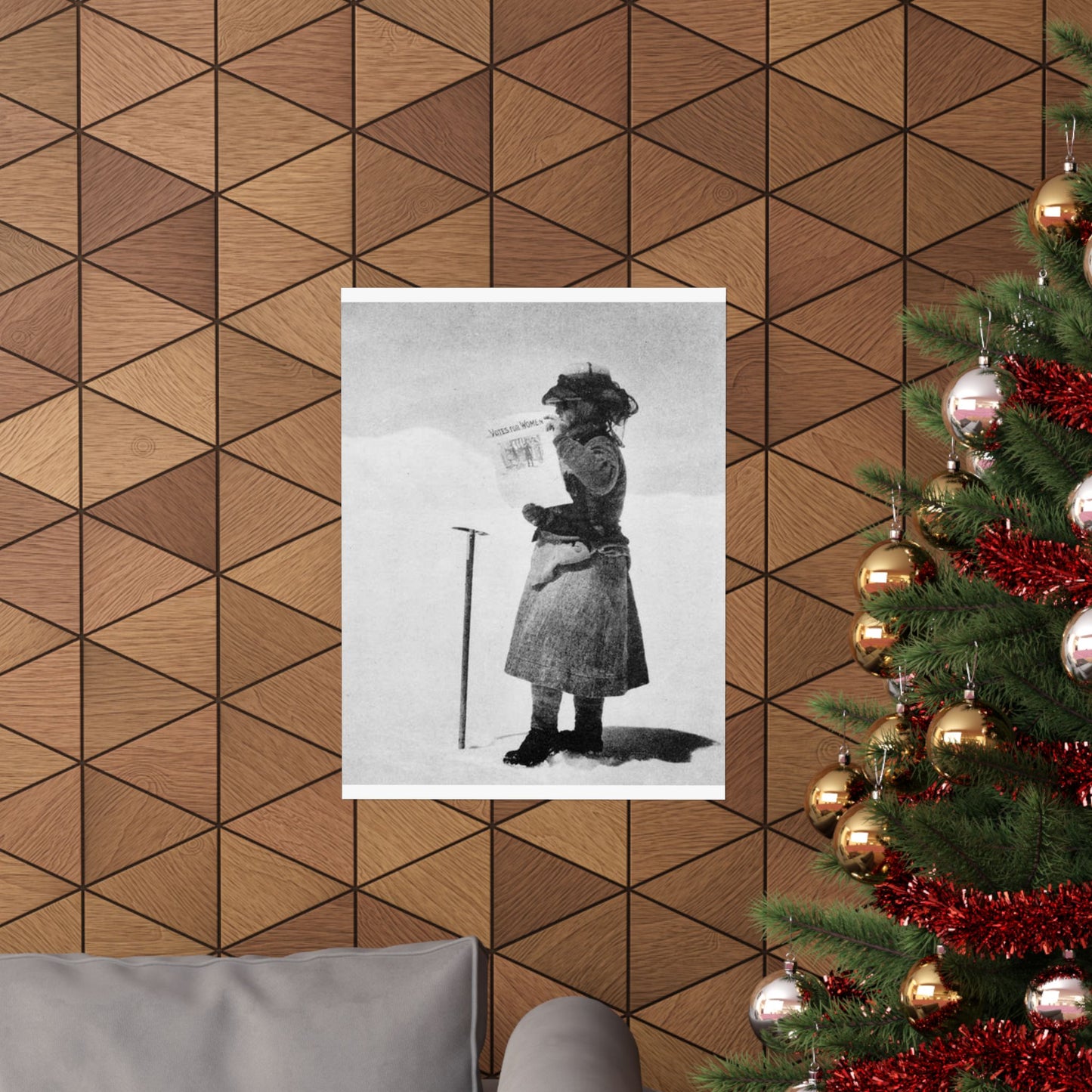 FannyBullockWorkmanVotesWomen - A woman standing in the snow holding a sign High Quality Matte Wall Art Poster for Home, Office, Classroom