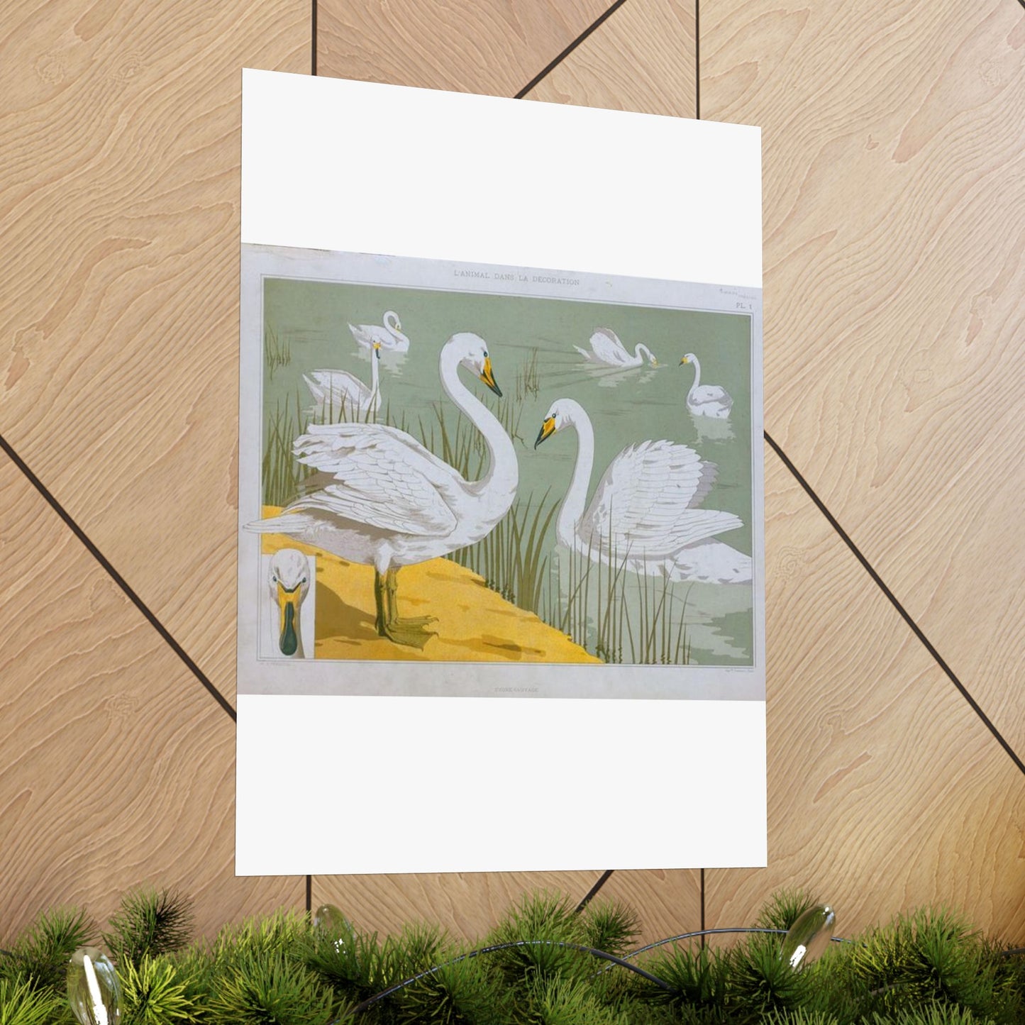 Cygne sauvage - Art nouveau public domain image High Quality Matte Wall Art Poster for Home, Office, Classroom