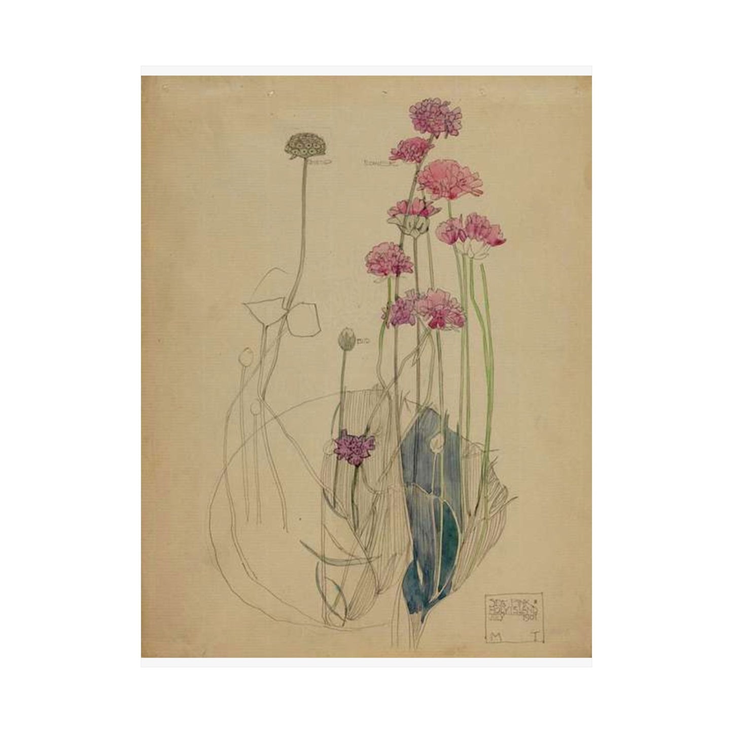 Sea Pink - Holy Island - Charles Rennie Mackintosh - 1901 High Quality Matte Wall Art Poster for Home, Office, Classroom