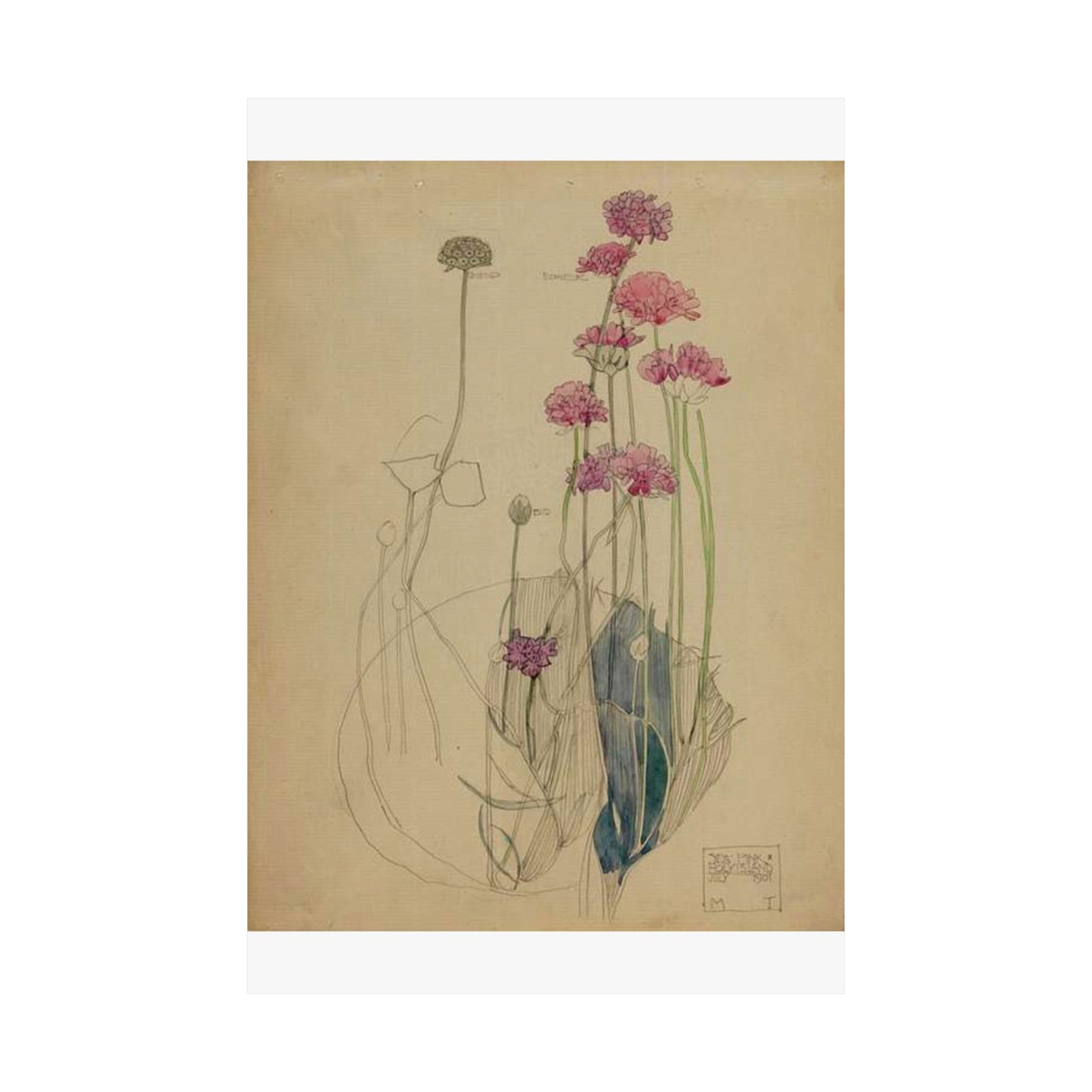 Sea Pink - Holy Island - Charles Rennie Mackintosh - 1901 High Quality Matte Wall Art Poster for Home, Office, Classroom