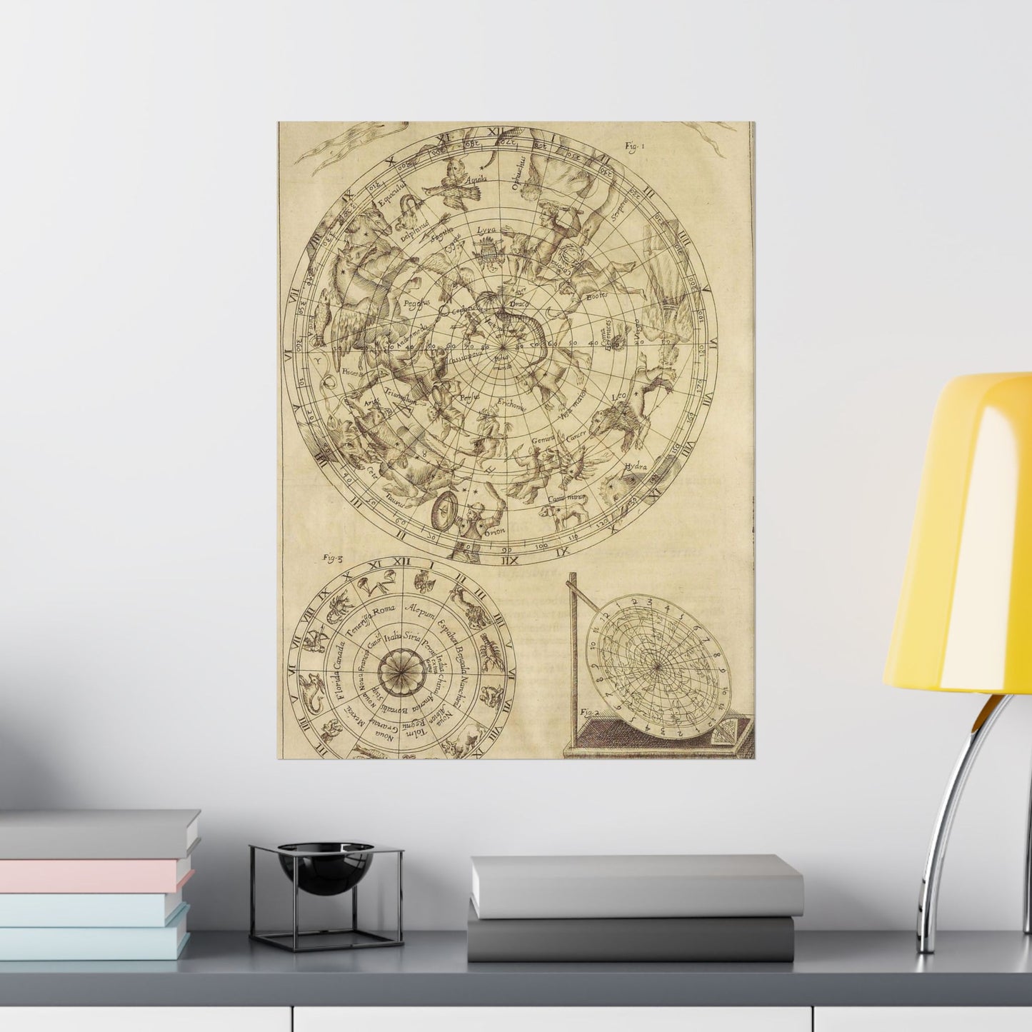 sciathericon stellarum - Drawing. Public domain image. High Quality Matte Wall Art Poster for Home, Office, Classroom