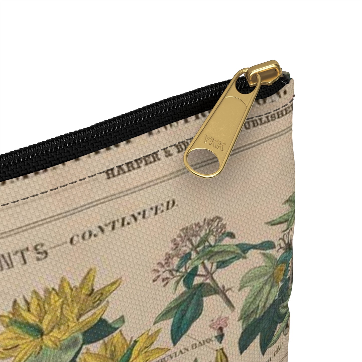 School and family charts, accompanied by a manual of object lessons and elementary instruction, by Marcius Willson and N.A. Calkins. No. XXII. Botanical: economical uses of plants-continued Large Organizer Pouch with Black Zipper