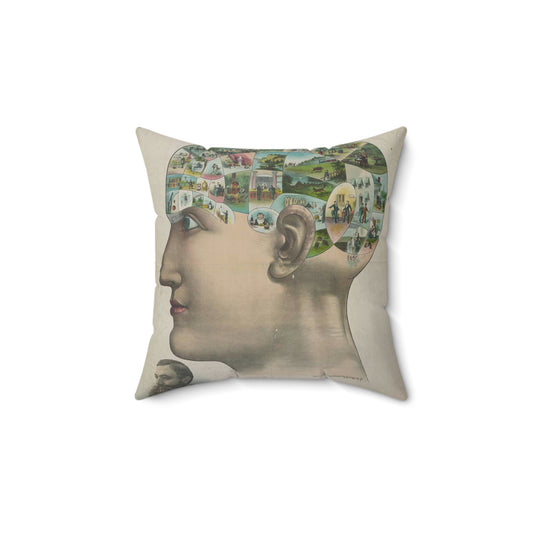 Popular lectures on human nature Decorative Accent Square Pillow