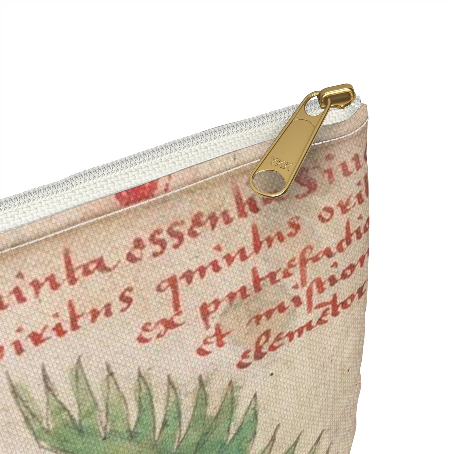 Bird from BL Sloane 1171, f. 19v Large Organizer Pouch with Black Zipper