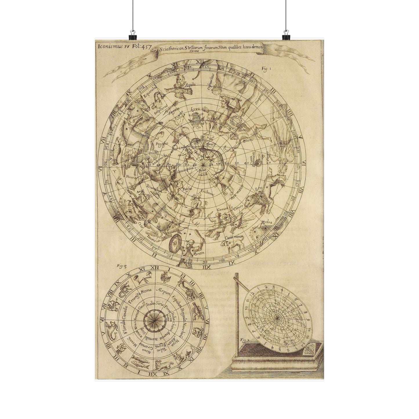 sciathericon stellarum - Drawing. Public domain image. High Quality Matte Wall Art Poster for Home, Office, Classroom