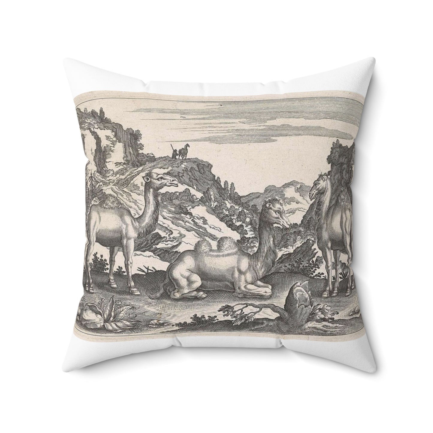 Adriaen Collaert - Dromedarissen en een kameel Decorative Accent Square Pillow