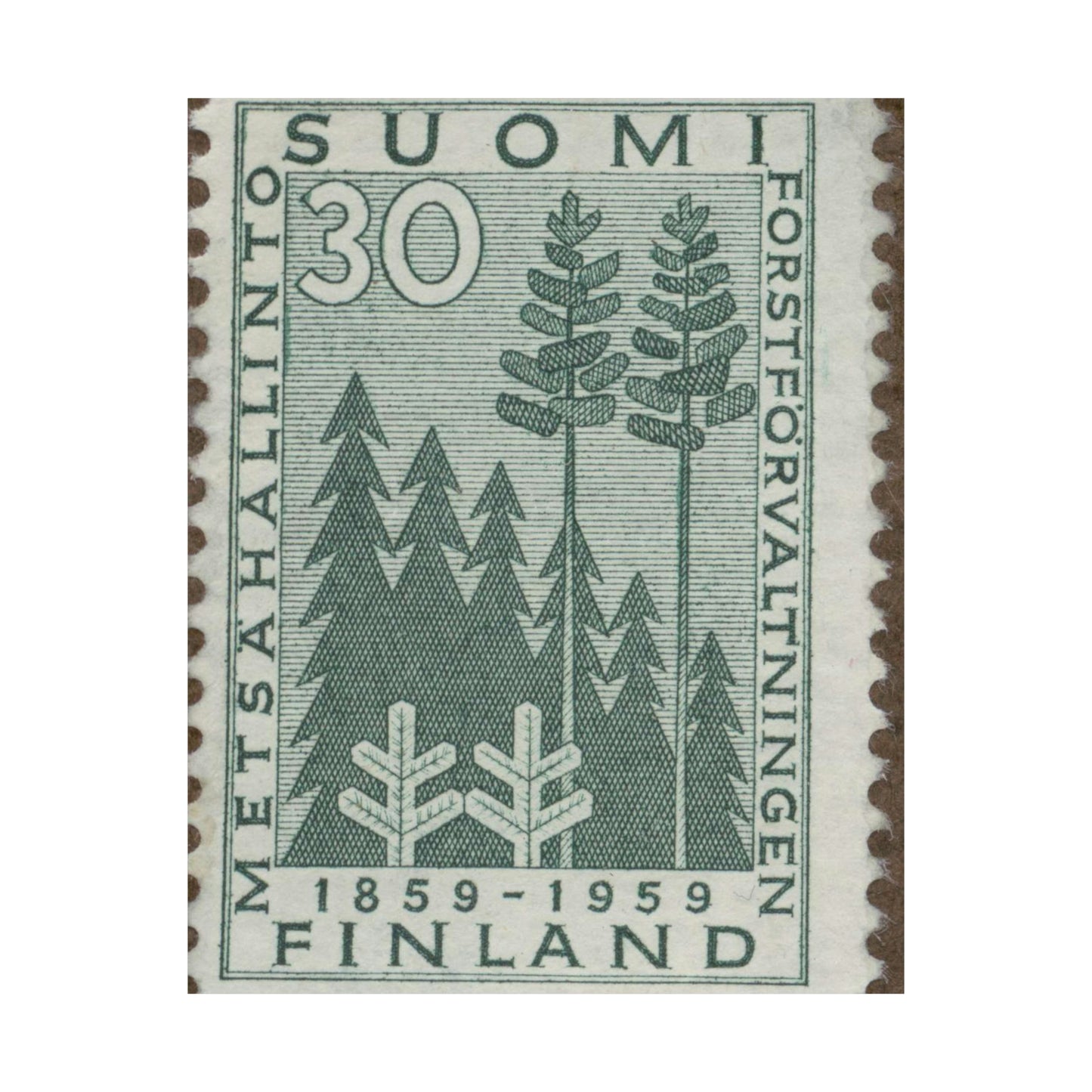 Frimärke ur Gösta Bodmans filatelistiska motivsamling, påbörjad 1950.Frimärke från Finland, 1959. Motiv av stiliserad gran och tall. "Forstförvaltningen 100 år: 1859-1959". High Quality Matte Wall Art Poster for Home, Office, Classroom