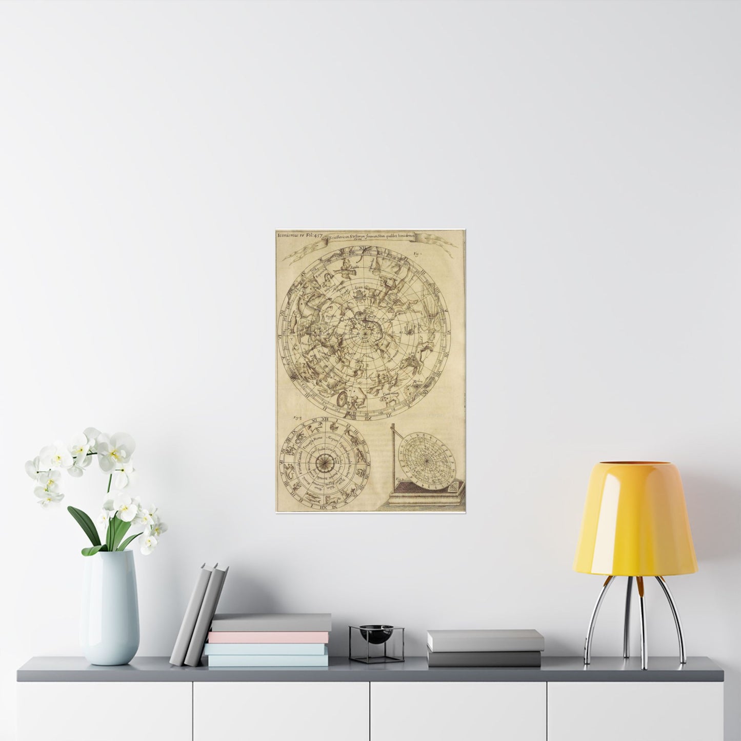 sciathericon stellarum - Drawing. Public domain image. High Quality Matte Wall Art Poster for Home, Office, Classroom