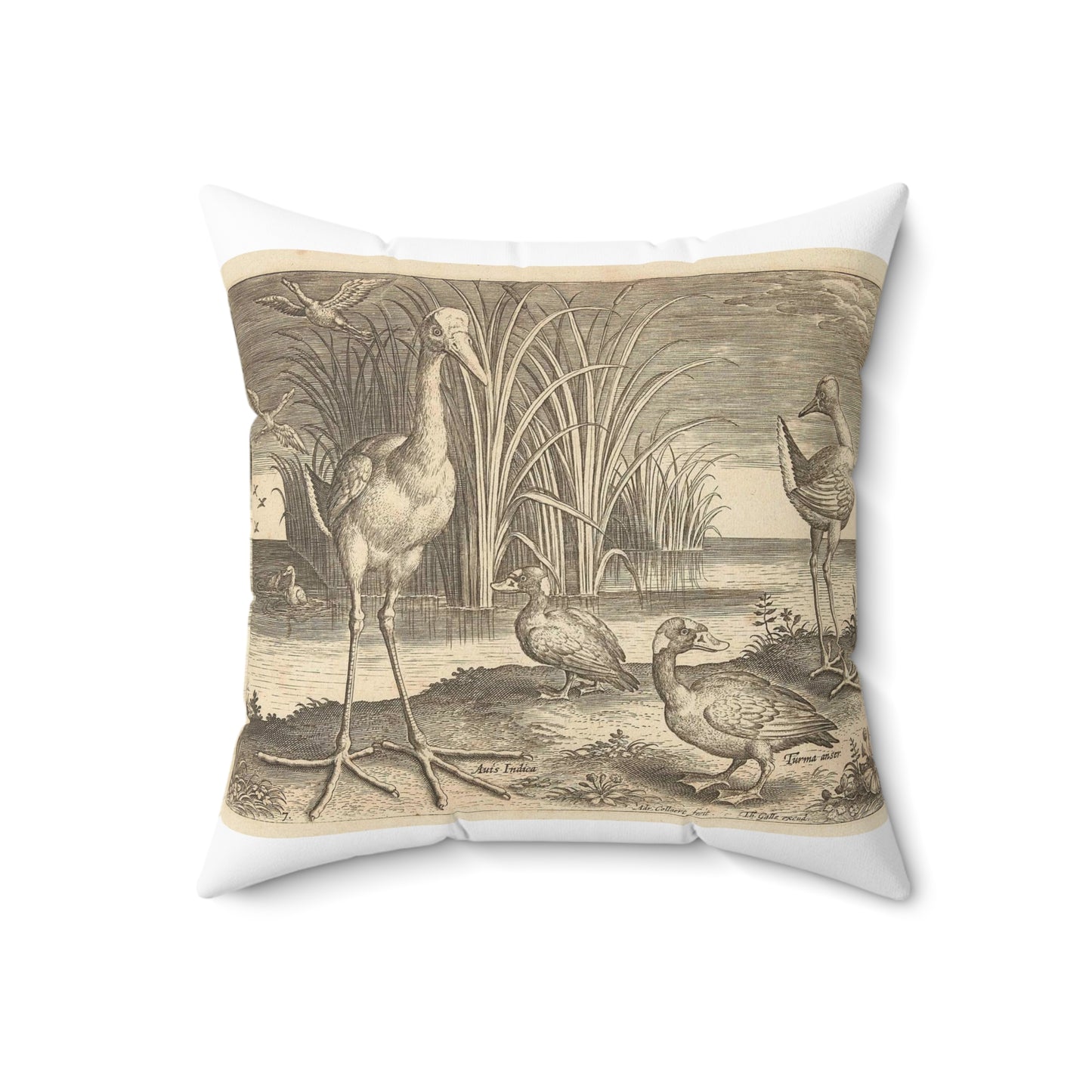 Adriaen Collaert - Enkele watervogels aan een oever Decorative Accent Square Pillow