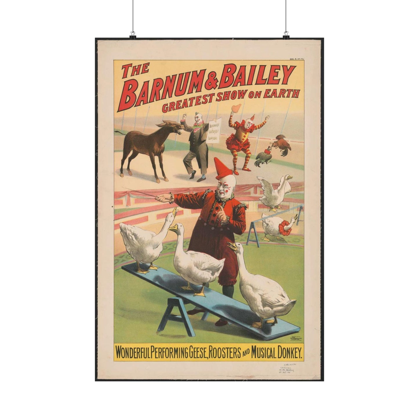 The Barnum & Bailey greatest show on earth. Wonderful performing geese, roosters and musical donkey / Strobridge Litho. Co., Cincinnati & New York. High Quality Matte Wall Art Poster for Home, Office, Classroom