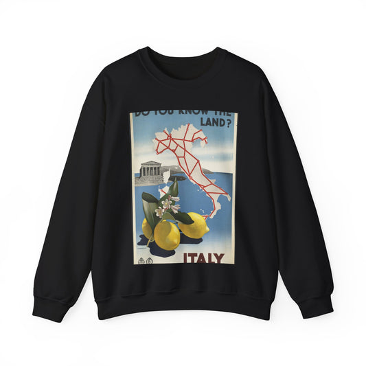 Vintage Travel Posters, 1920s-1930s Black Heavy Blend Adult Crew Neck SweatShirt