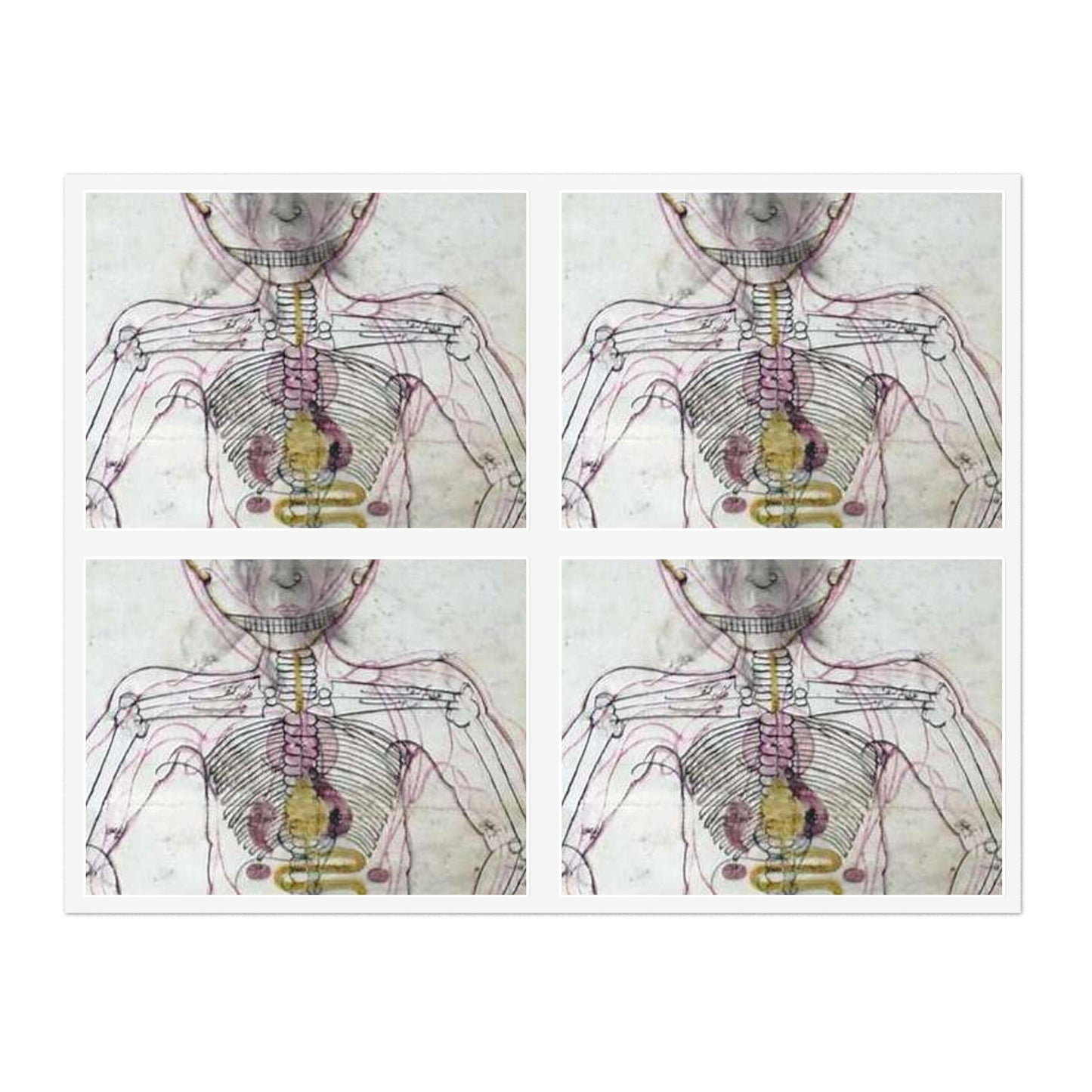 Skeleton of a human from Kifayeyi-Mansuri Laminated UV Protective Vinyl Stickers