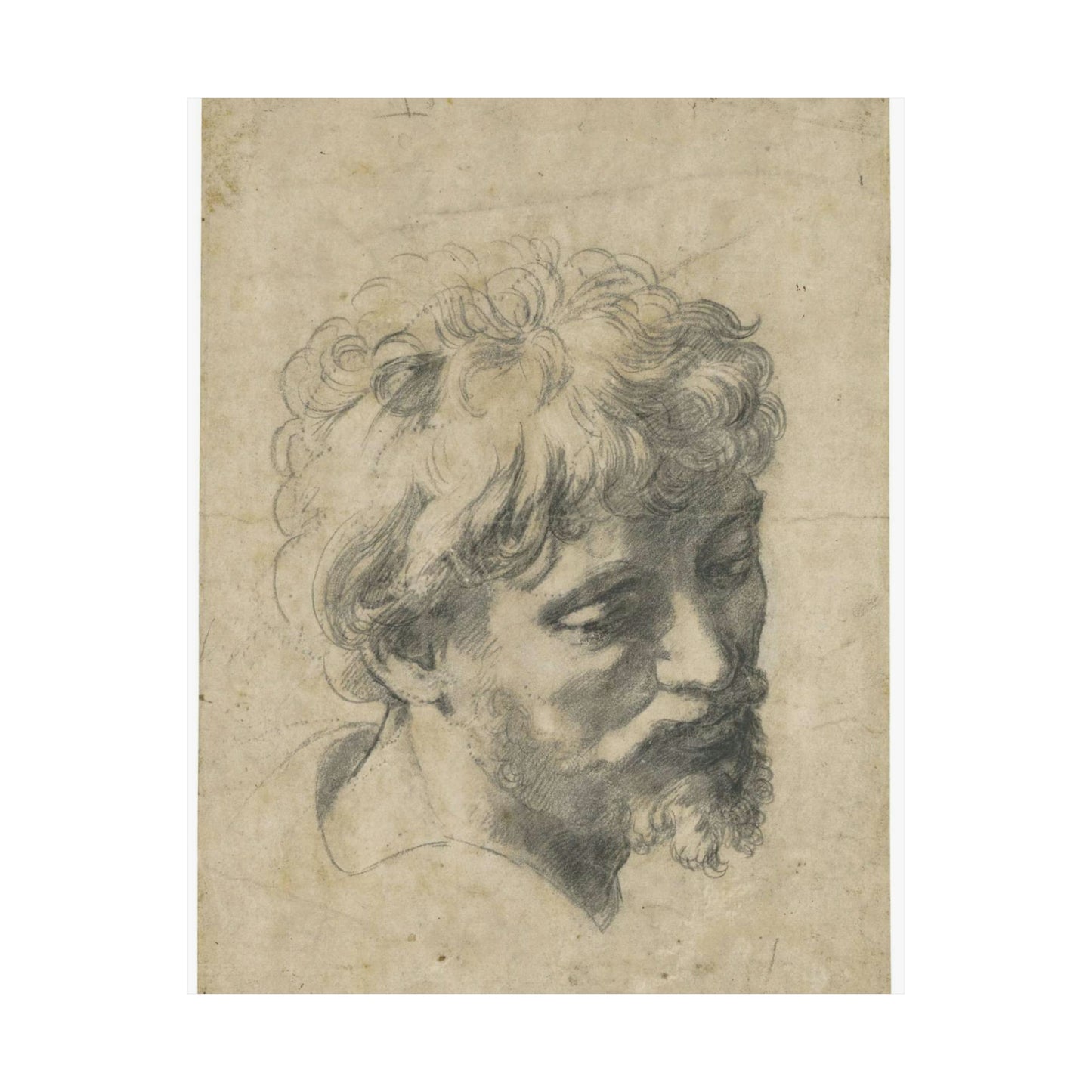 Raffaello Sanzio - Head of a Young Apostle, lot.52 High Quality Matte Wall Art Poster for Home, Office, Classroom