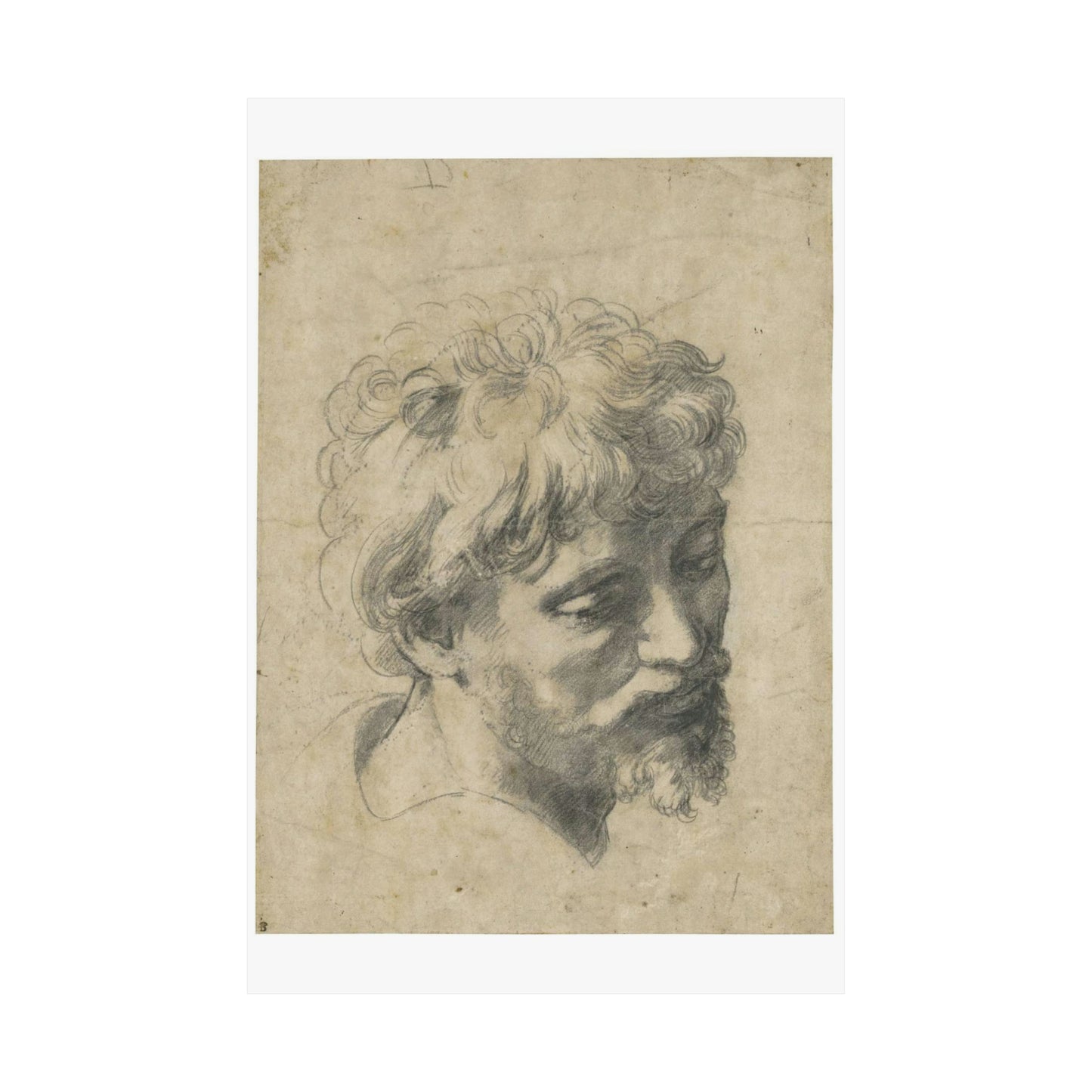 Raffaello Sanzio - Head of a Young Apostle, lot.52 High Quality Matte Wall Art Poster for Home, Office, Classroom