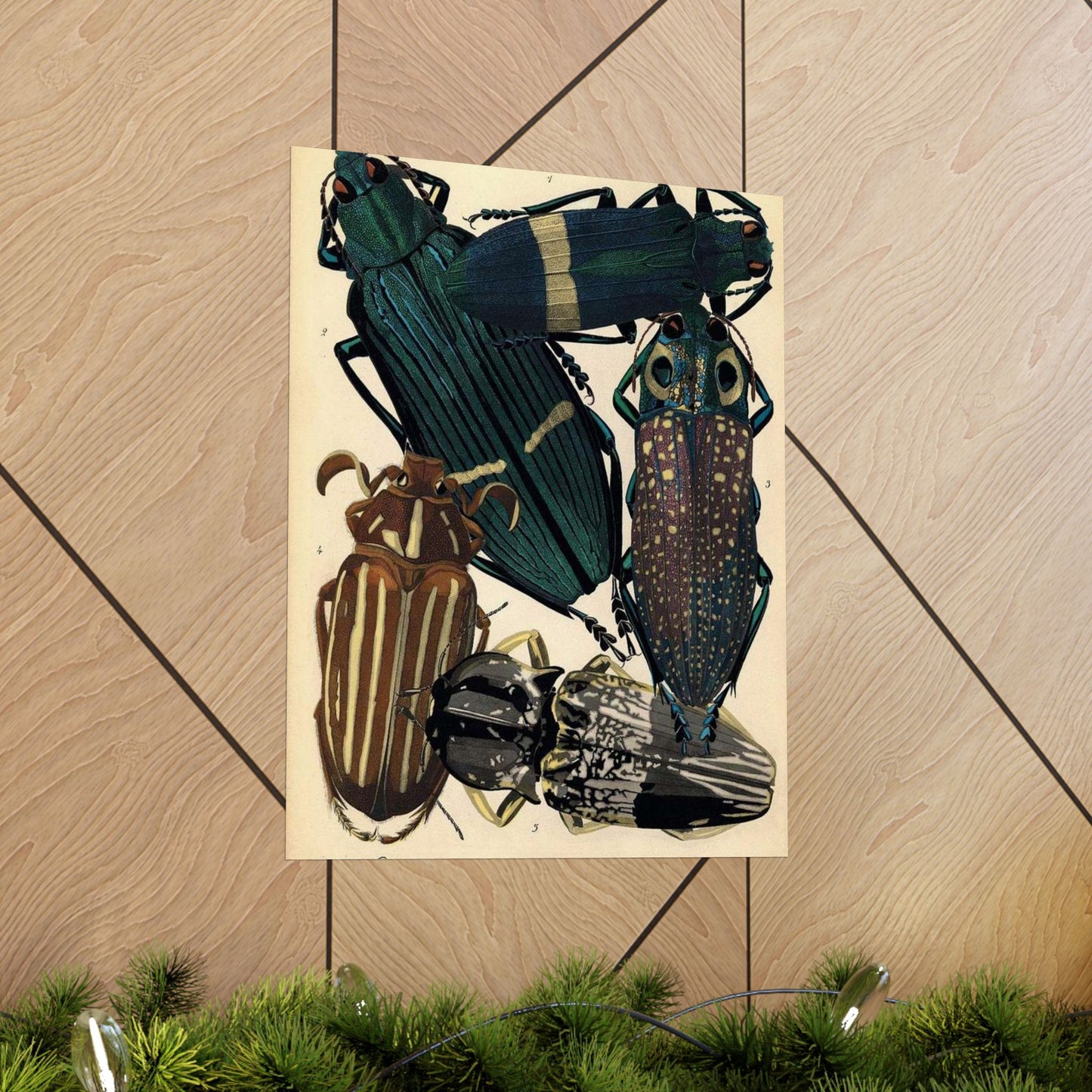 Insectes - EA Séguy - 1929 - page 14 High Quality Matte Wall Art Poster for Home, Office, Classroom