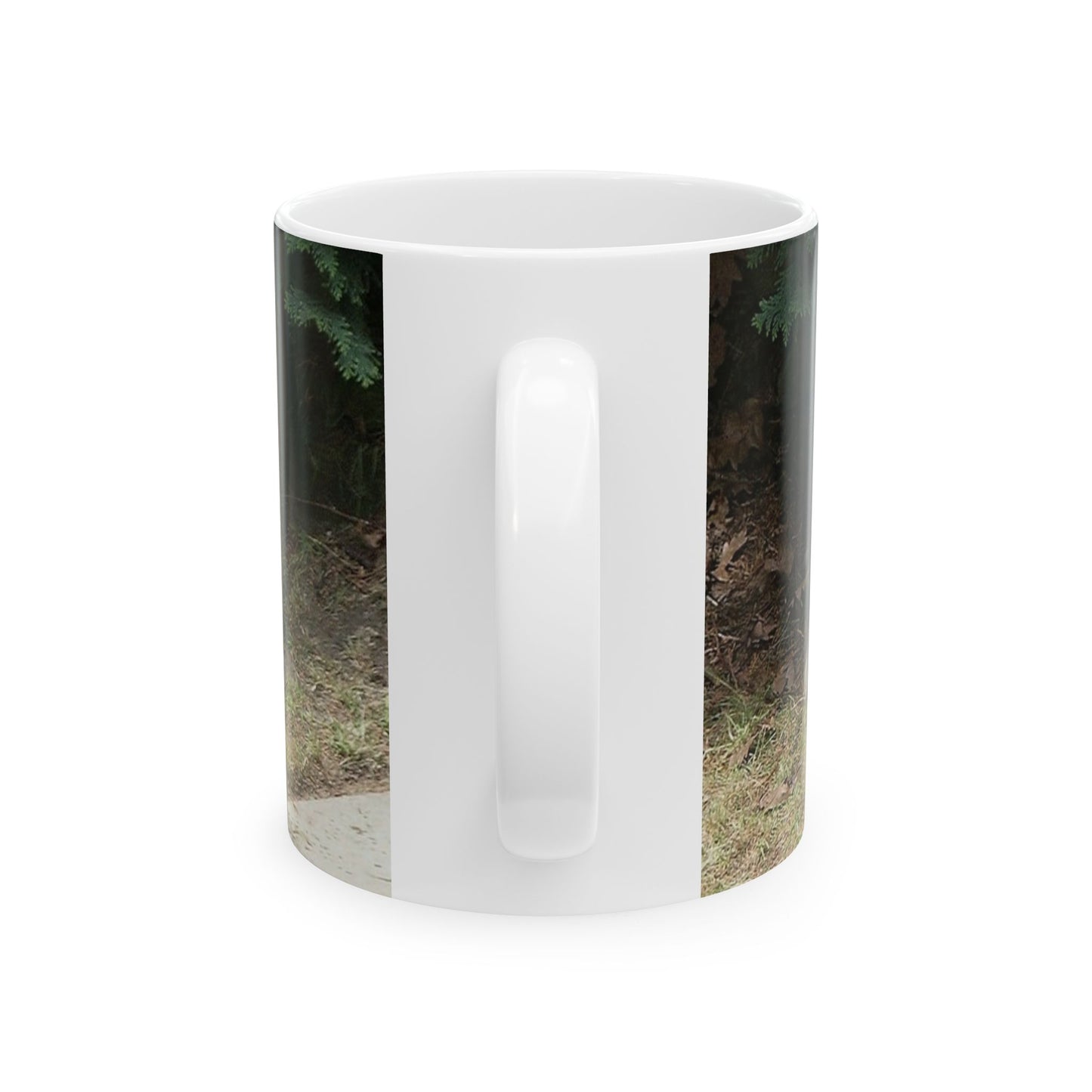 A fox standing on a sidewalk next to a bush. Fox animal wildlife, animals. Beautiful Novelty Ceramic Coffee Mug 11oz