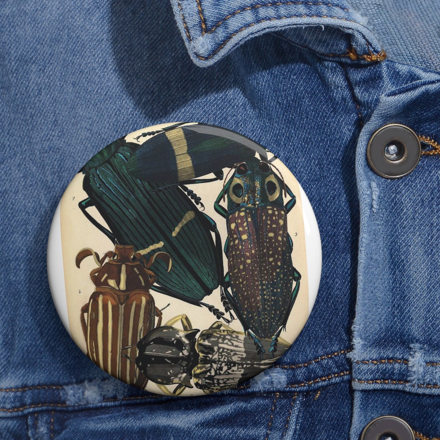 Insectes - EA Séguy - 1929 - page 14 Pin Buttons with Crisp Design